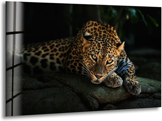My Photostation.com Round 24'' Fierce Leopard Glass Wall ArtTempered Glass Printing Wall Decor Large Wall Art Wall Hangings