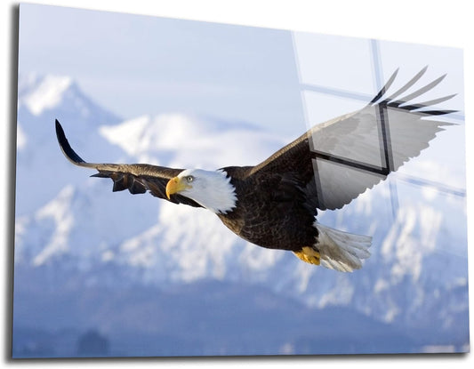 SpiritualHands Eagle Printed Tempered Glass Wall Art Painting for Living Room, Tempered Glass Modern Prints Decor, Large Vivid Color Panel for Bedroom, Kitchen, or Office